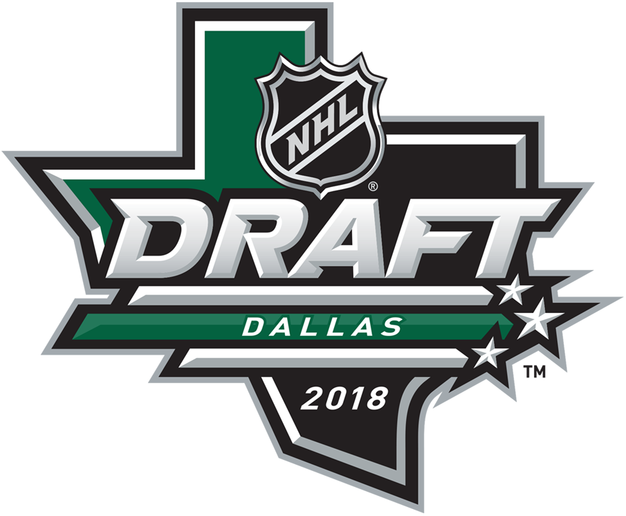 NHL Draft 2018 Primary Logo DIY iron on transfer (heat transfer)